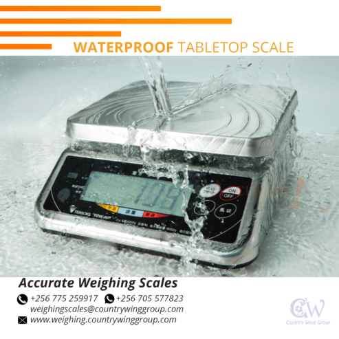 table top rustproof weighing scales for seafood markets use