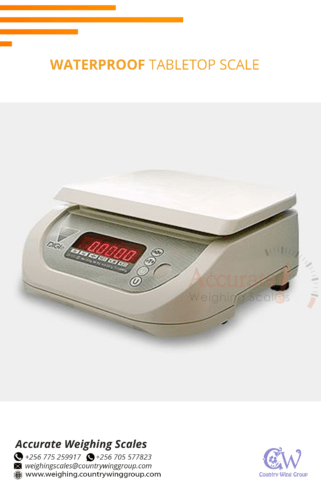 fish food processing factories digital weighing scales