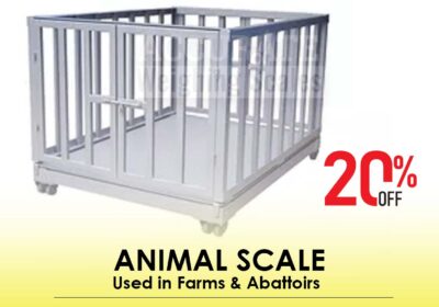 animal-scale-20-3