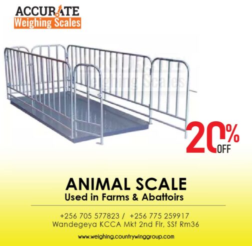 Digital Animal weighing scales for ZOO in Kampala Uganda