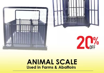 animal-scale-31-4