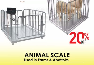 animal-scale-8-5