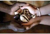 Herbalist healer to heal your problems call +256777422022