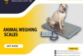 Best Weighing Scales for Home & Commercial Use in Uganda