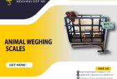 Where to buy animal weighing scales in Uganda +256 700225423