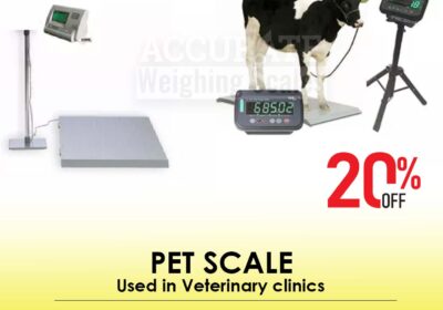 pet-scale-23-3