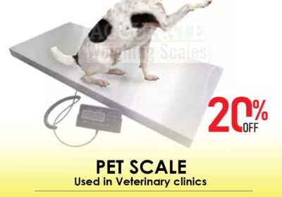 pet-scale-4-1