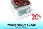 portable table top weighing wash down Scale-stainless steel