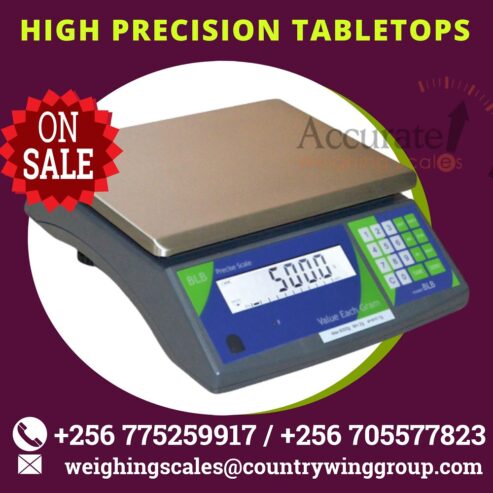 Electric precision balance with extra LCD display