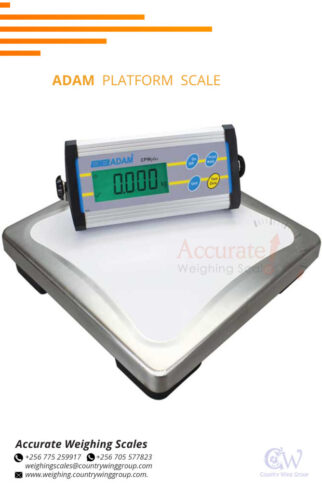 Heavy duty platform scales with switchable buttons