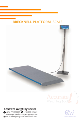 platform scale with single and multi-cell configuration