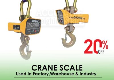 CRANE-SCALE-13