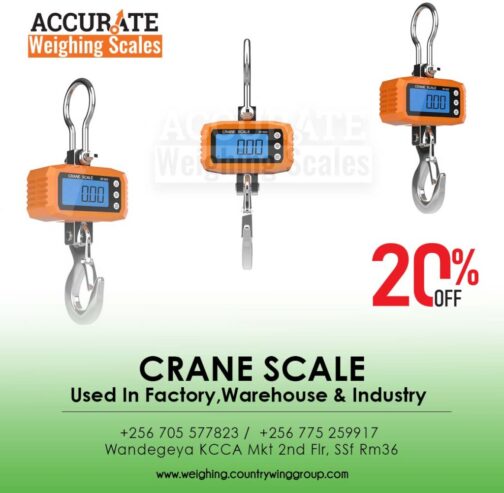 Crane weighing scales with OIML classIII accuracy for local