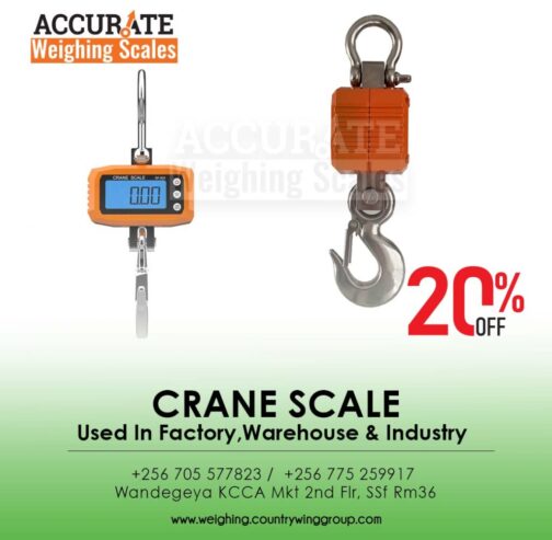 looking for a mini crane weighing scale with portable