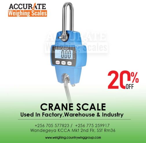 1000kg digital crane weighing scale with stable time <10s