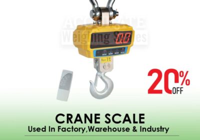 CRANE-SCALE-24