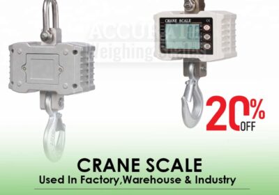 CRANE-SCALE-30-2