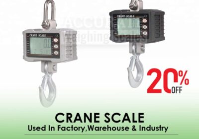 CRANE-SCALE-31-1