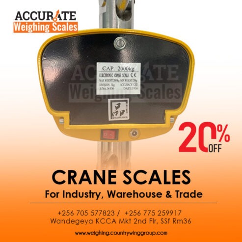 Heavy duty crane weighing scales with Peak hold function