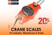 Light duty digital crane weighing scales with Two set points