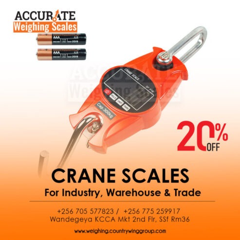 Light duty digital crane weighing scales with Two set points