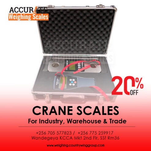 Digital Crane weighing scales with rechargeable 6v1.2Ah