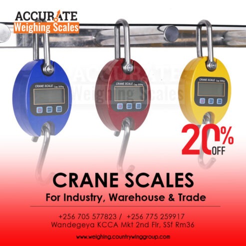 Crane weighing scale with durable one-hour batteries reserve