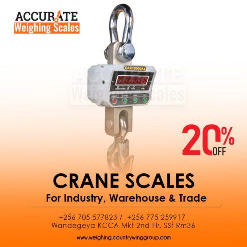 Light duty crane weighing scale for retail business