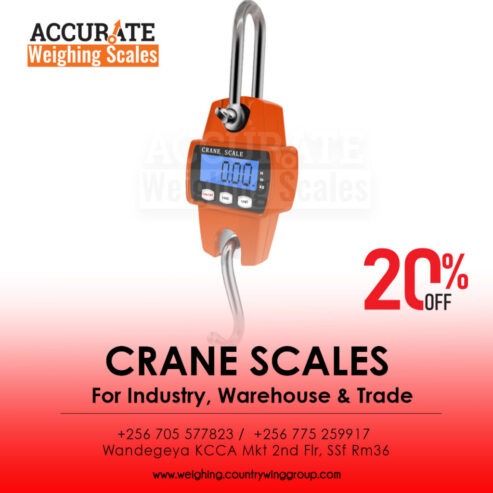 Stainless steel housing waterproof crane weighing scale