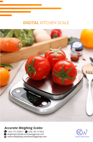 Garden and Kitchen Scale, with 0.5g Precision Weighing