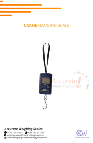 Bright LED display hook luggage scale at a supplier shop