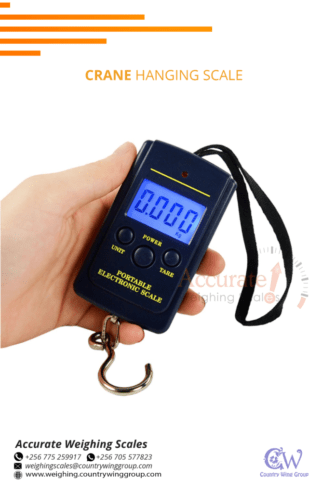 digital hook weighing scale with wireless remote-control