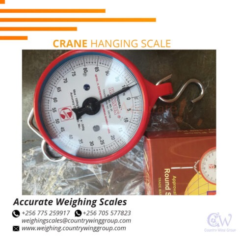 Durable Hanson Crane Weighing Scale in Kampala