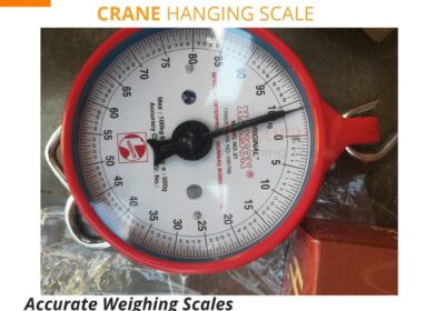 Crane-Scale-35-.jpg-2