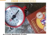 Best Hanson Crane Weighing Scale in Kampala