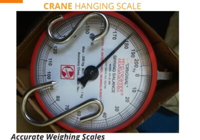 Crane-Scale-39-.jpg-1