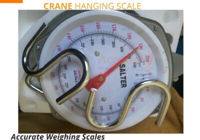 Crane-Scale-60.jpg-2