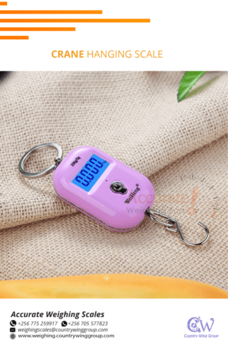 Portable Digital Hanging Baggage Scale for Travel