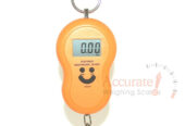 luggage scales designed to handle a specific weight capacity