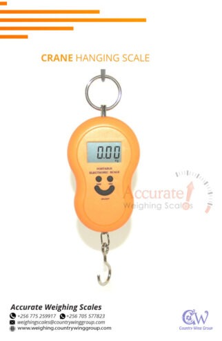 luggage scales designed to handle a specific weight capacity