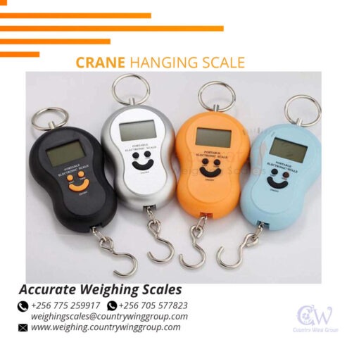 Weight Capacity Hanging hook weight scales