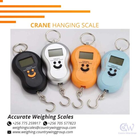 Handy Portable Travel Luggage Scales in Kampala Uganda