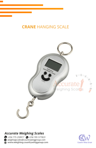 Hook weighing scale served with top and bottom hooks