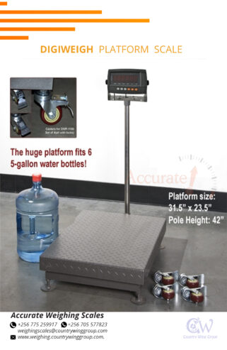 Stainless-steel heavy -duty platform scale with time/hold