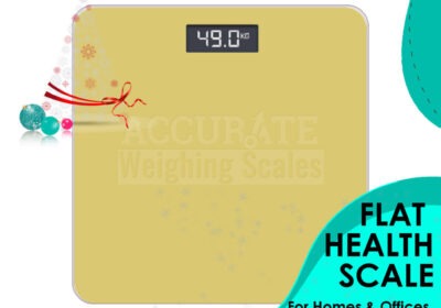 FLAT-HEALTH-SCALE-27