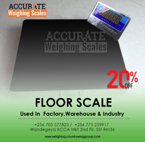 Developed hi tech digital floor weighing equipment