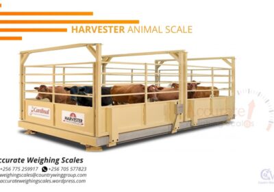 Harvester-Animal-Scale-2-png-1