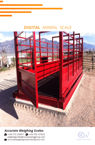 galvanized mild steel plate animal weighing scale