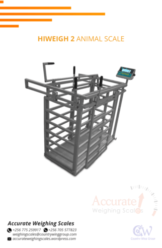 hiweigh animal weighing scale with 50g divisions error