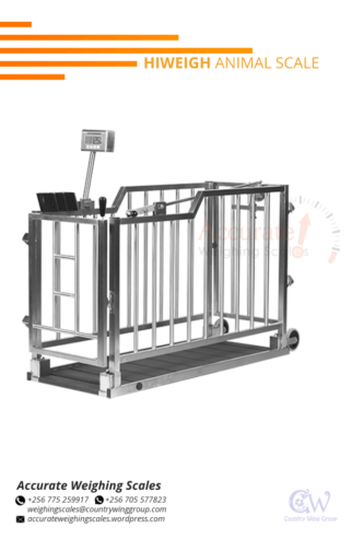 hiweigh animal weighing scale with 50g divisions error